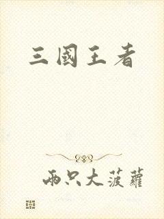 三国王者