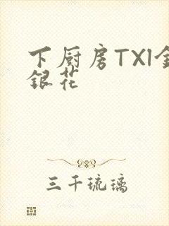 下厨房TXl金银花封面