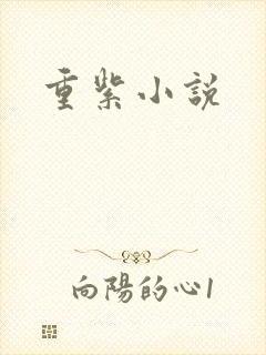 重紫小说