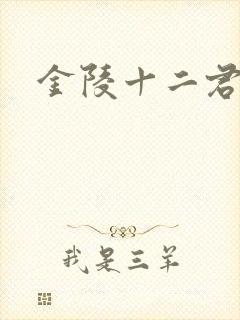 金陵十二君