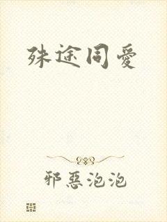 殊途同爱封面