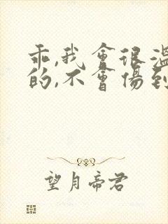 乖,我会很温柔的,不会伤到你小说