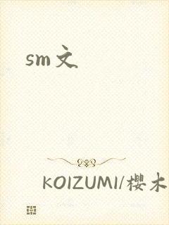 sm文