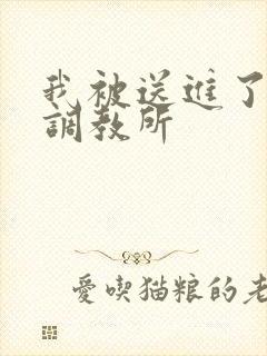 我被送进了私奴调教所