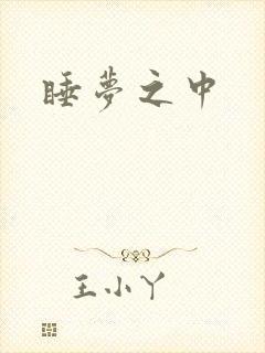 睡梦之中封面
