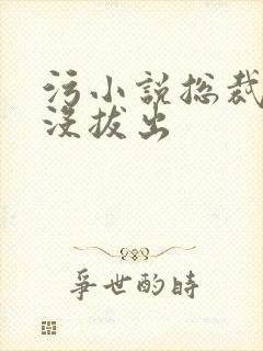 污小说总裁整夜没拔出封面