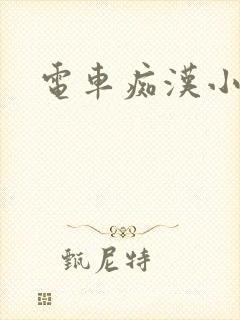 电车痴汉小说封面