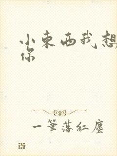 小东西我想弄坏你