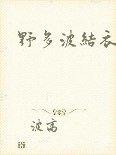 野多波结衣封面