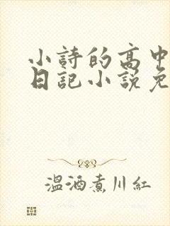 小诗的高中成长日记小说免费阅读封面