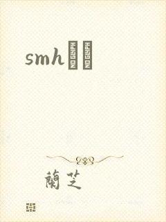 smhС˵封面