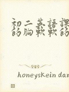 初二英语课代表的胸软软的