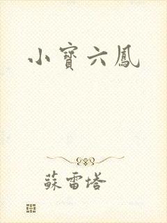 小宝六凤