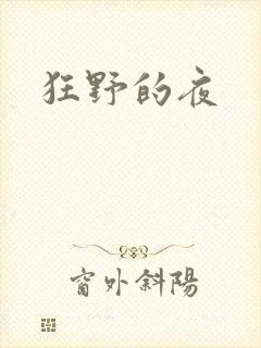 狂野的夜