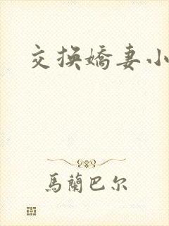 交换娇妻小说封面