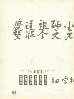 魔道祖师小说完整版全文免费阅读下载封面