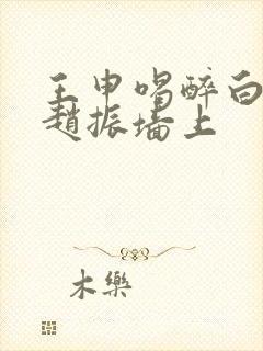 王申喝醉白洁被赵振墙上