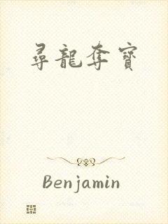 寻龙夺宝