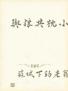 与狼共枕小说封面