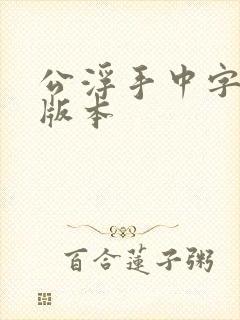 公浮手中字最新版本封面