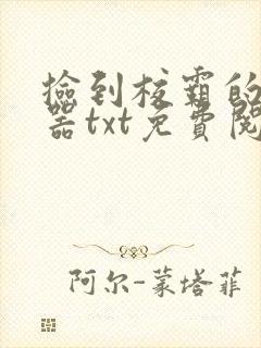 捡到校霸的遥控器txt免费阅读by阳阳