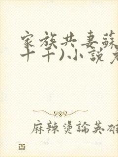 家族共妻苏苏(十千)小说免费