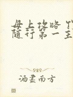 母上攻略 竹影随行第一主板封面