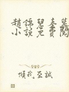 赵锦儿秦慕修的小说免费阅读全文封面