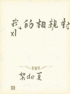 我的相亲对象是xl封面