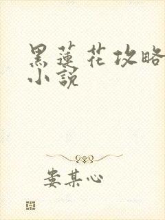 黑莲花攻略手册小说
