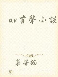 av有声小说