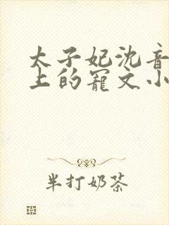 太子妃沈音和皇上的宠文小说