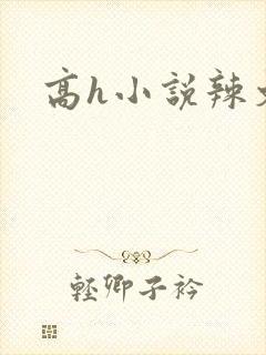 高h小说辣文封面