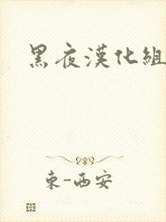 黑夜汉化组