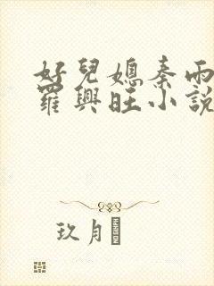 好儿媳秦雨罗明罗兴旺小说封面