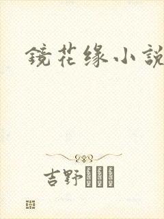 镜花缘小说