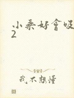 小乘好会吸1V2封面