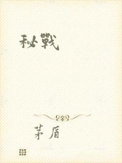 秘战