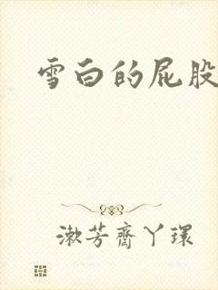 雪白的屁股小说封面