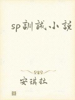 sp训诫小说