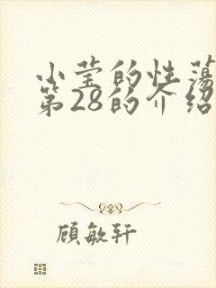 小莹的性荡生活第28的介绍封面