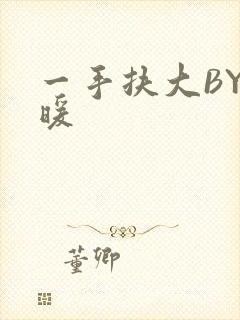 一手扶大BY泱暖封面