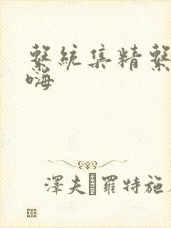 系统集精系统高嗨