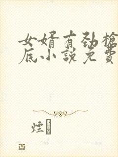 女婿有劲枪枪到底小说免费看封面