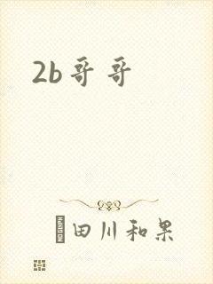 2b哥哥