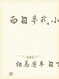 白日梦我小说