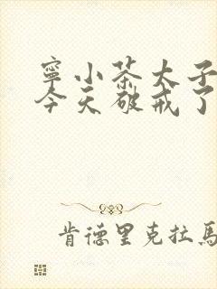 宁小茶太子殿下今天破戒了吗免费阅读封面