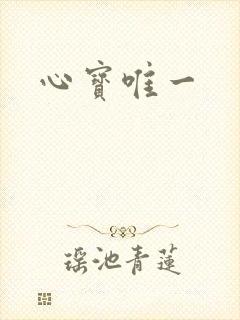 心宝唯一