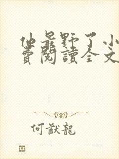 他最野了小说免费阅读全文封面