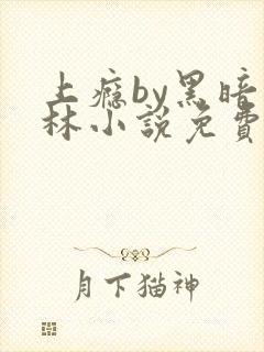 上瘾by黑暗森林小说免费封面